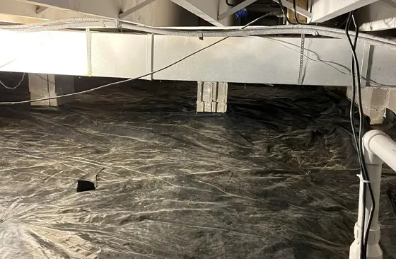 Crawlspace encapsulation with durable black vapor barrier protecting foundation