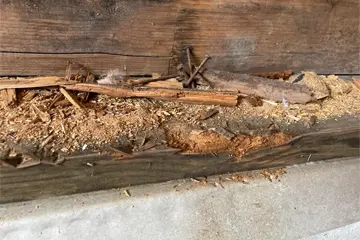 Crawlspace repair and sealing with white vapor barrier for moisture control in Paducah